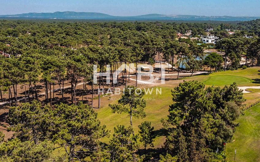 Moradia de Luxo, Verdizela